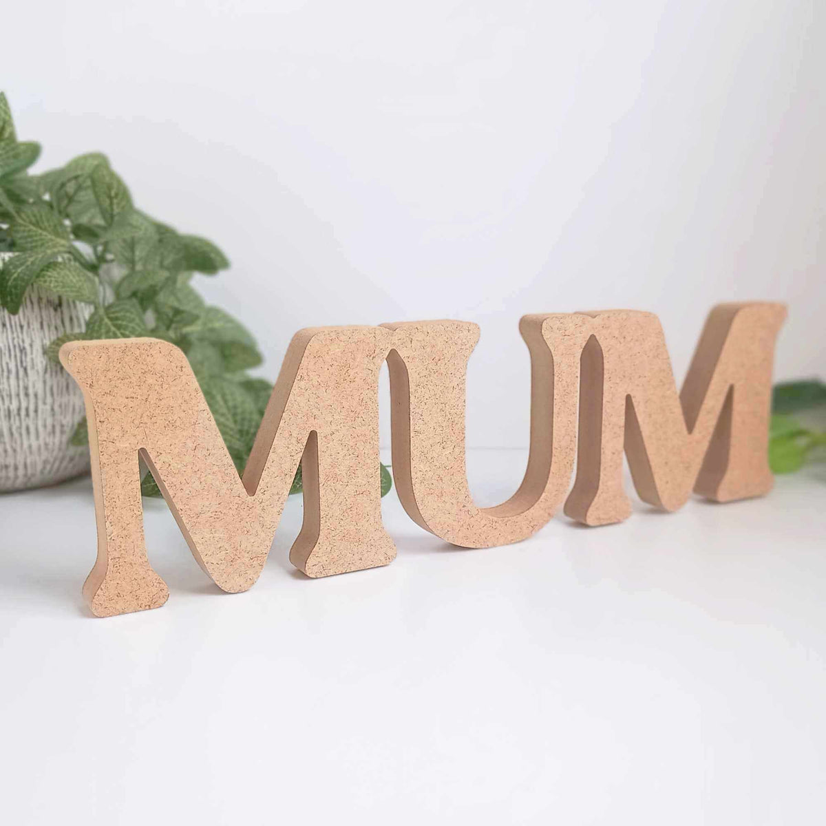 Freestanding MDF Wooden Word Plaque